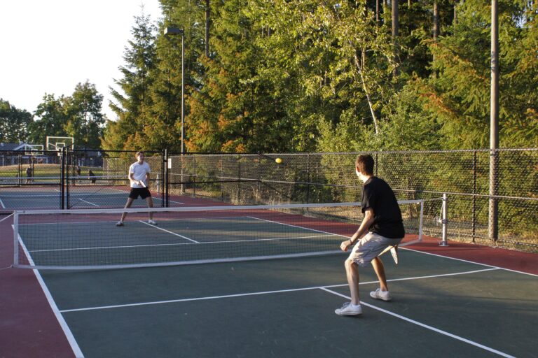 pickleball netz kaufen